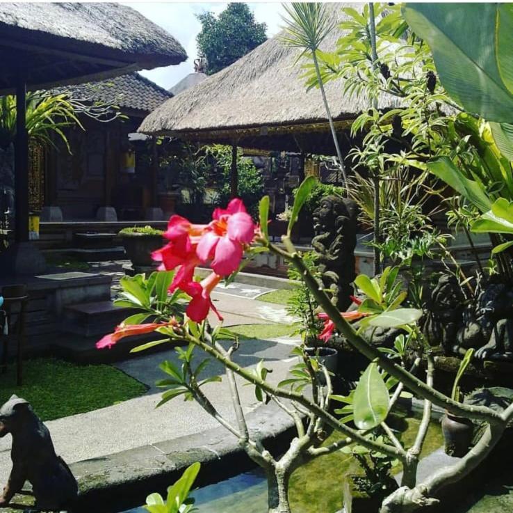 Family Guest House أوبود المظهر الخارجي الصورة